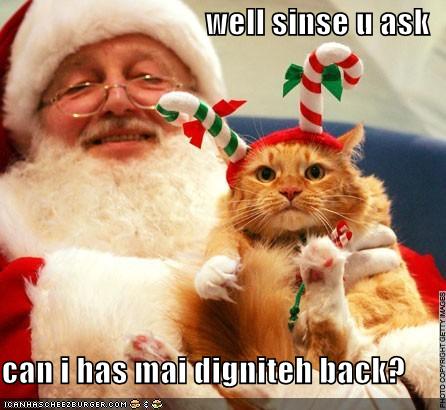  Santa and Cat!