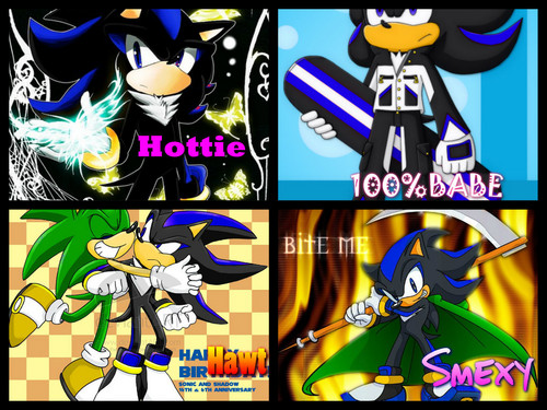  Shade The Hedgehog Collage