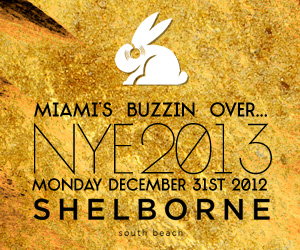 Shwayze Live - NYE Miami