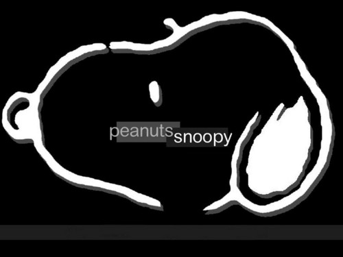  Snoopy fond d’écran