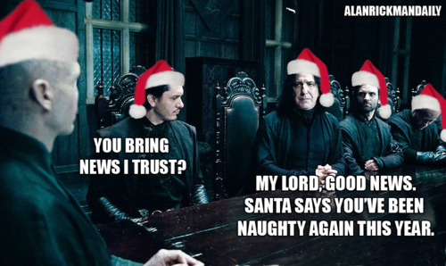  Voldy Natale