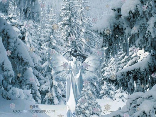  Winter Fairy kertas dinding