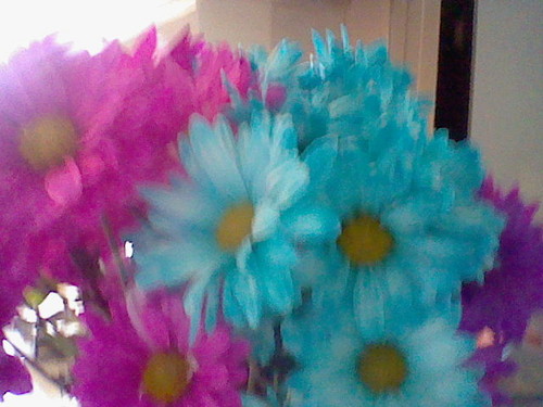 flowers of beauty 2