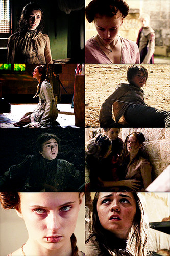  Sansa & Arya