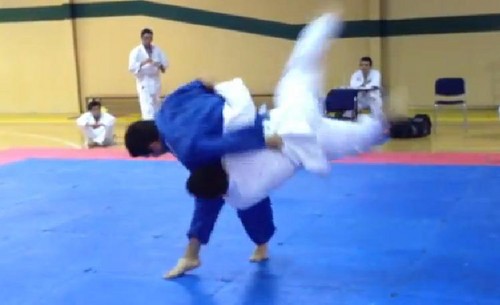  judo