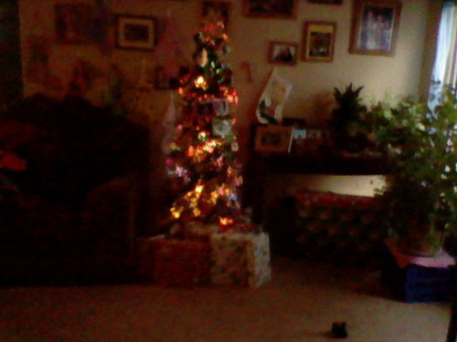  my arbre on christmas morning of 2012