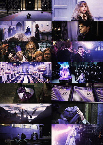  Harry Potter in purple