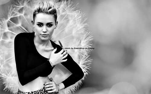  Miley 壁纸 ❤