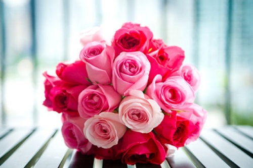 Pink Roses 