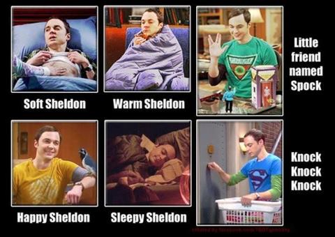 Sheldon Kitty