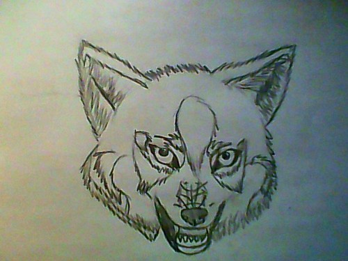  Snarling loup