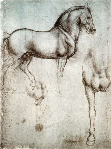 Study of horse from Leonardo's journals