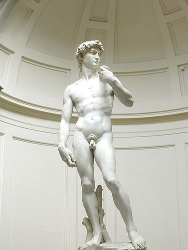 The Statue of David, completed by Michelangelo in 1504