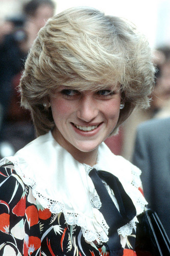 Princess Diana images diana HD wallpaper and background photos (33260777)