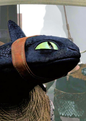  ★ Toothless ﻿☆