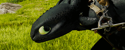  ★ Toothless ﻿☆