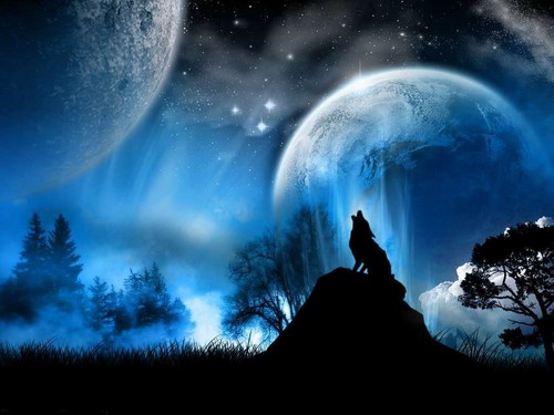  ♥ волк in the Moonlight ♥