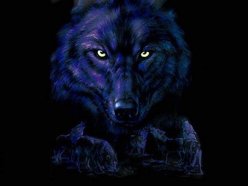 ♥ Wolves ♥