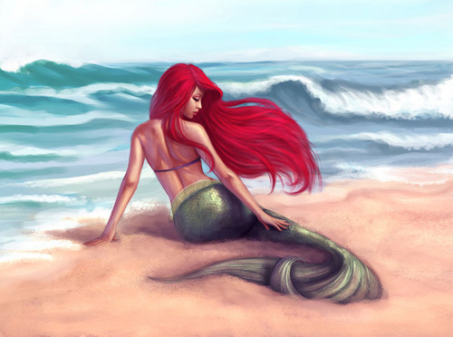  Ariel on the kust-, oever