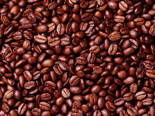  kakao beans