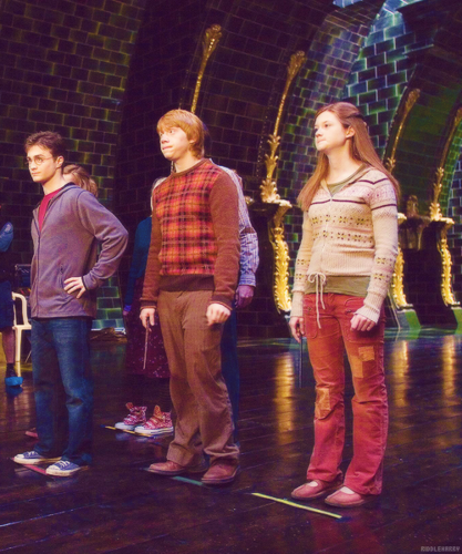 Ginny, rona and Harry