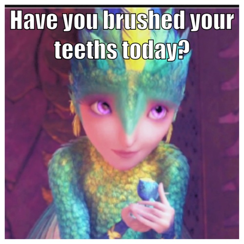  Have you brushed?