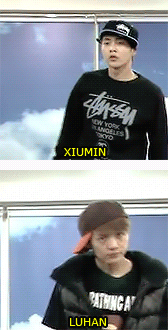  Luhan (EXO-M)