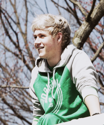 Niall for my NiallerSister♥