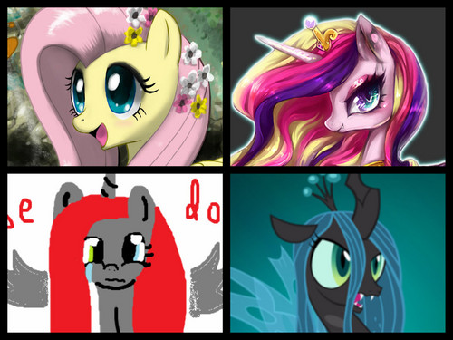  pony Collage