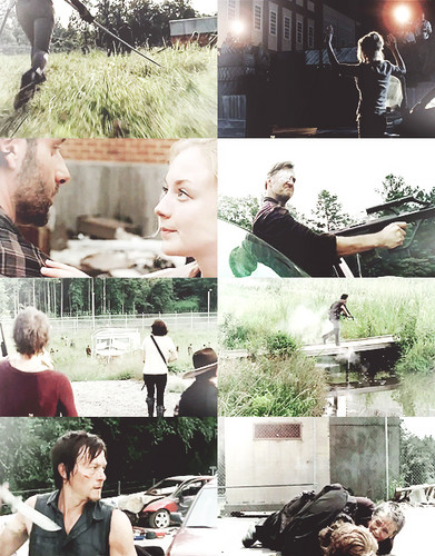  The Walking Dead 3x09 The Suicide King
