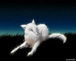  Wolfs pics and one of my furry drawings