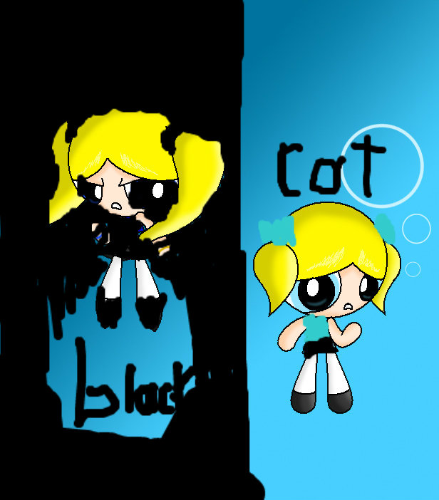 black and  cat