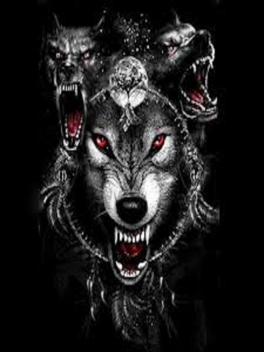  dark lobos