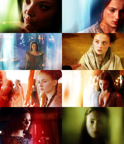  Margaery Tyrell & Sansa Stark