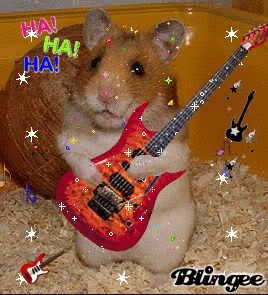 hamster guitar
