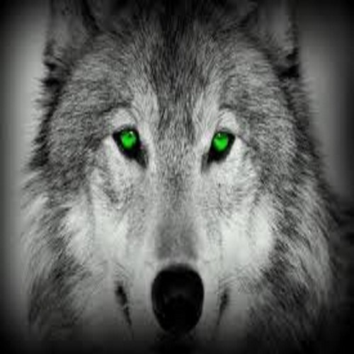  狼, オオカミ green