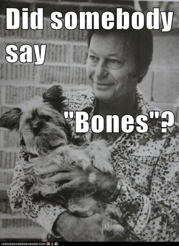  Did somebody say "Bones"?