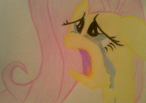  My fluttershy drawing