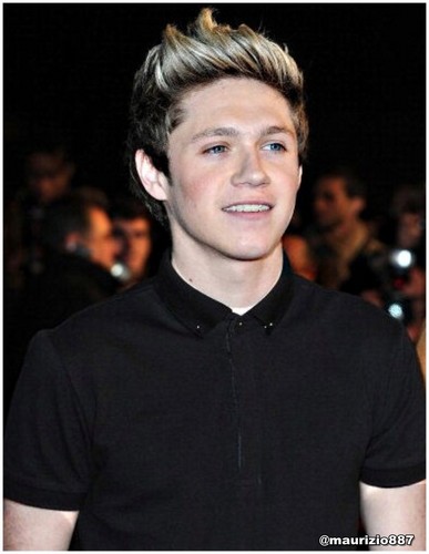  Niall Horan,NRJ musik Awards 2013
