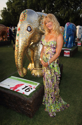 The Elephant Parade auction 2010
