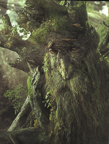 Treebeard-treebeard-33433567-378-500.jpg