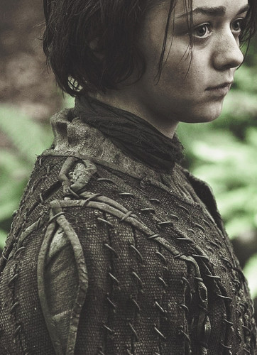  Arya Stark