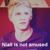  niall horan disappointed?