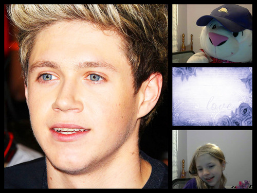  niall me=love and a bunch of stuff animais