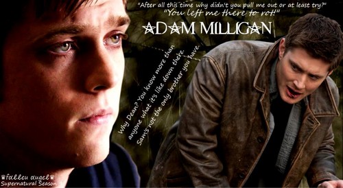  Adam Milligan - The হারিয়ে গেছে Winchester
