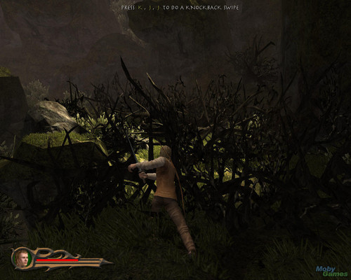  에라곤 (video game) screenshot