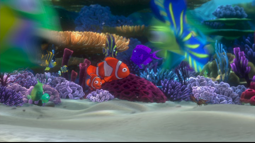  Finding Nemo