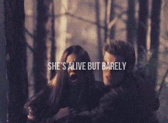 I’m grateful to Stefan. He saved my life.