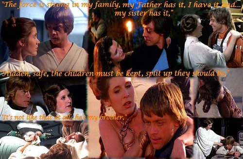  Luke&Leia