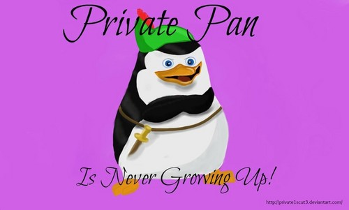  Private Pan